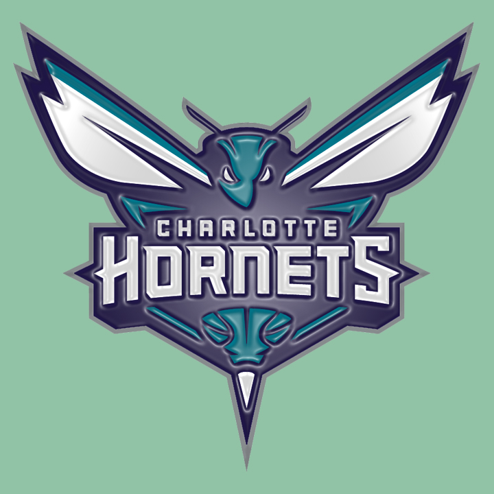 Charlotte Hornets Plastic Effect Logo iron on paper